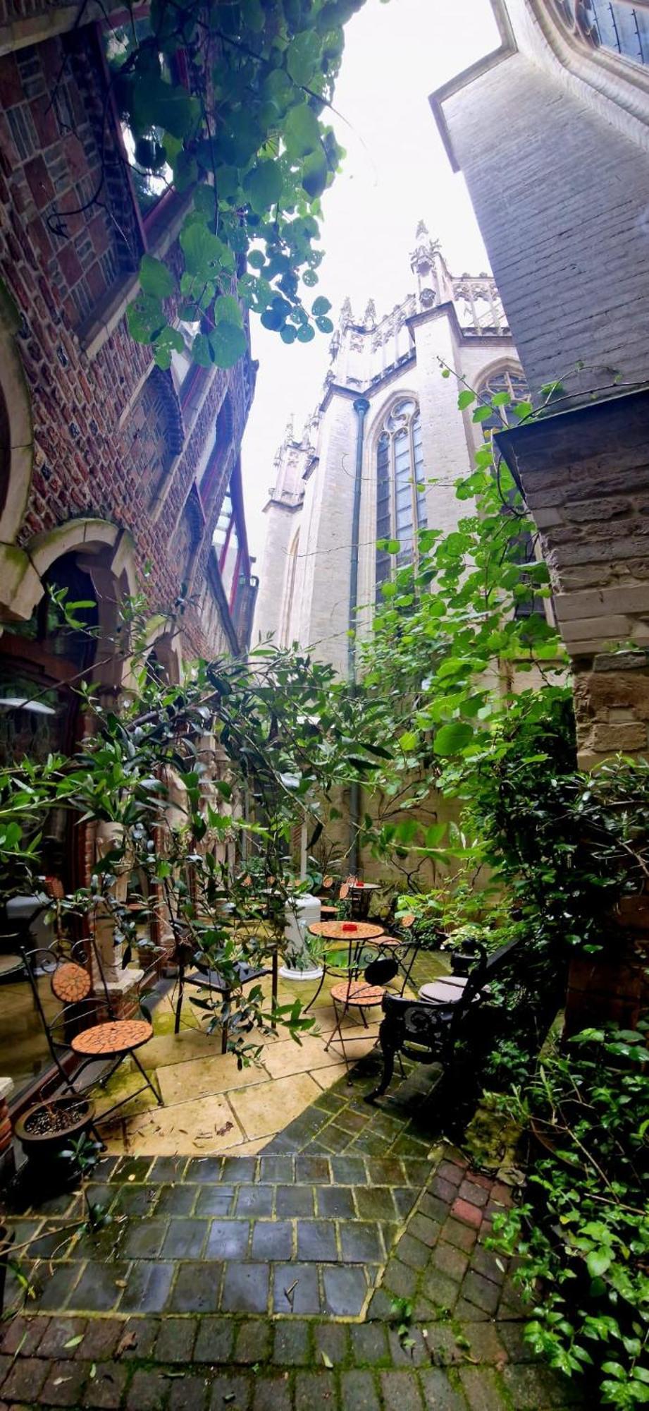 Living History - Drie Koningen Apart otel Anvers Dış mekan fotoğraf